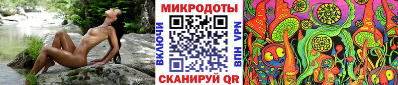 Галлюциногенные грибы GOLDEN TEACHER  наркотики  Гурьевск 
