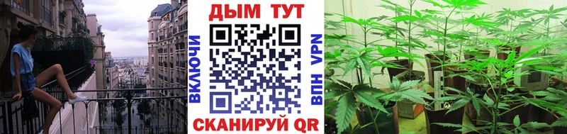 omg как зайти  Гурьевск  МАРИХУАНА марихуана  купить  